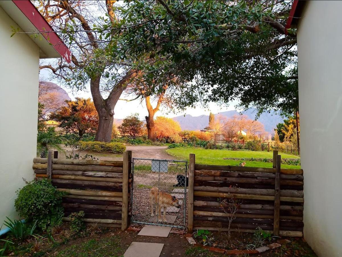 Olive And Vine Farm Cottage Franschhoek Quarto foto